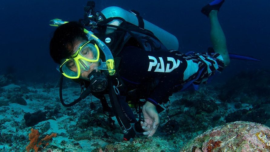 What is the difference between a PADI Open Water Diver and PADI Advanced Open Water Diver?